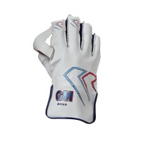 GM WICKET KEEPER GLOVES MANA