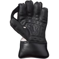 GM WICKET KEEPING GLOVES RIVAL
