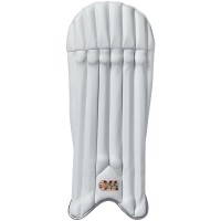GM WICKET KEEPING PADS RIVAL