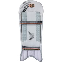 GM WICKET KEEPING PADS RIVAL