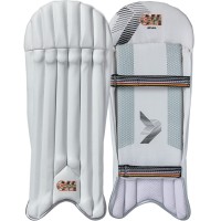GM WICKET KEEPING PADS RIVAL
