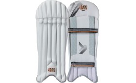 GM WICKET KEEPING PADS RIVAL