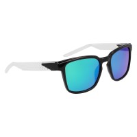 NIKE SUNGLASSES LIVEFREE ICONIC BLACK/GREY
