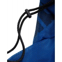 ARENA SWIM GO MESH BAG- ROYAL