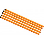SPARE 30'' TRAINING POLES (each)