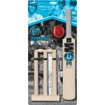 GM DIAMOND MINI CRICKET SET