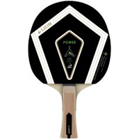 LION TT BAT POWER