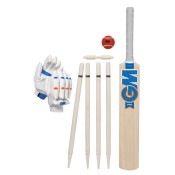 Cricket