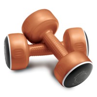 BODY SCULPTURE SMART DUMBELLS 2 x 2 KG (4KG PAIR)